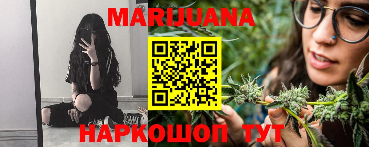 Каннабис планчик Свободный